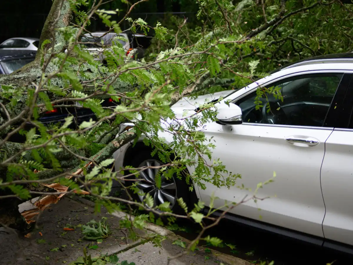 Blog Automobile Physical Damage Coverage